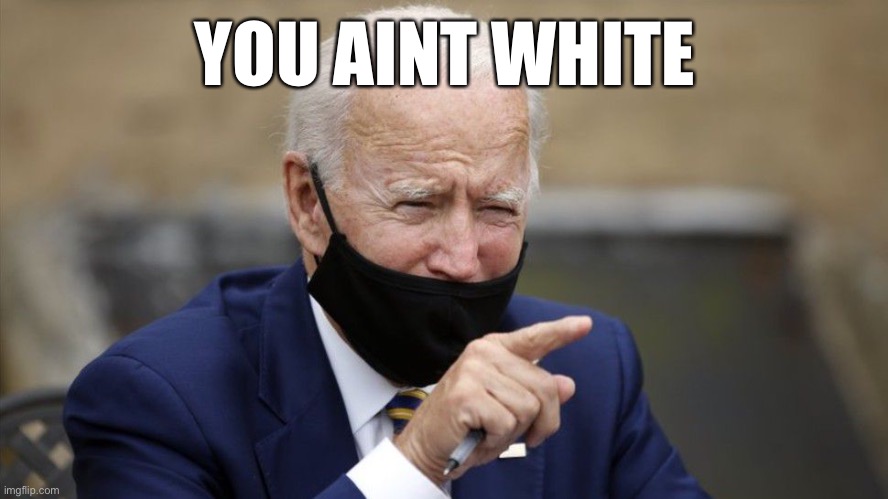 The Masked Debater | YOU AINT WHITE | image tagged in schmo joe ho bin biden,this ia hiw the dems will cheat | made w/ Imgflip meme maker