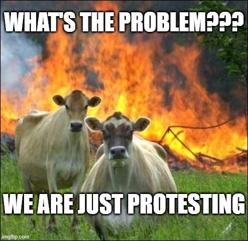 It isn't protesting when you infringe on other's rights | WHAT'S THE PROBLEM??? WE ARE JUST PROTESTING | image tagged in memes,evil cows,criminal protesters,rioting,looting | made w/ Imgflip meme maker