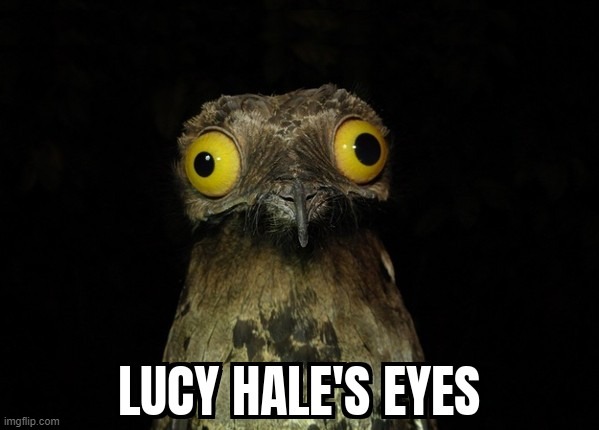 image tagged in lucy hale,eyes | made w/ Imgflip meme maker