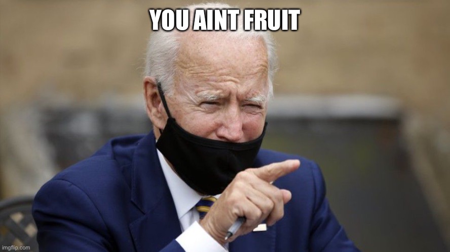 Schmo Joe Ho bin Biden | YOU AINT FRUIT | image tagged in schmo joe ho bin biden | made w/ Imgflip meme maker