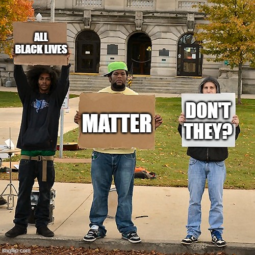 Do All Black Lives Matter? | ALL BLACK LIVES; DON'T THEY? MATTER | image tagged in black lives matter,signs,protesters,protest | made w/ Imgflip meme maker