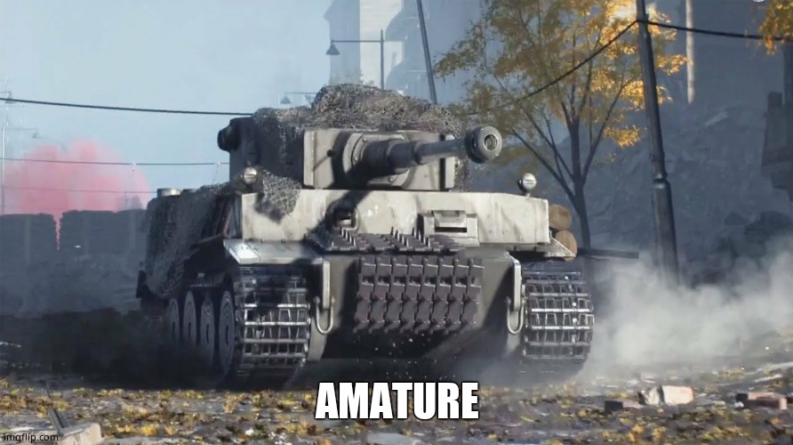 Tiger 237 | AMATURE | image tagged in tiger 237 | made w/ Imgflip meme maker