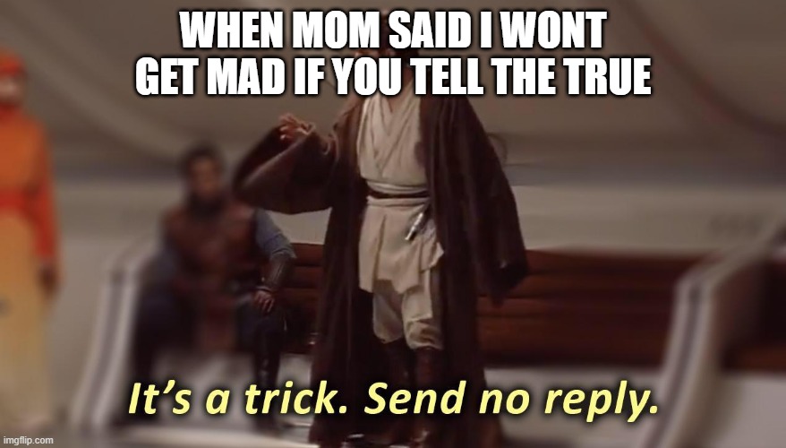 it's a trick, send no reply | WHEN MOM SAID I WONT GET MAD IF YOU TELL THE TRUE | image tagged in it's a trick send no reply | made w/ Imgflip meme maker
