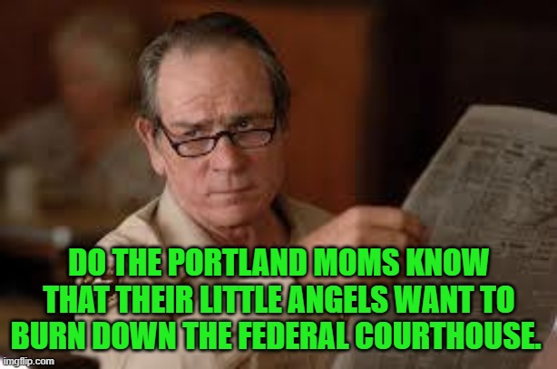 no country for old men tommy lee jones | DO THE PORTLAND MOMS KNOW THAT THEIR LITTLE ANGELS WANT TO BURN DOWN THE FEDERAL COURTHOUSE. | image tagged in no country for old men tommy lee jones | made w/ Imgflip meme maker