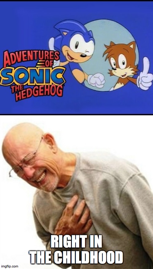Remember this show? | RIGHT IN THE CHILDHOOD | image tagged in memes,right in the childhood,sonic the hedgehog,nostalgia | made w/ Imgflip meme maker