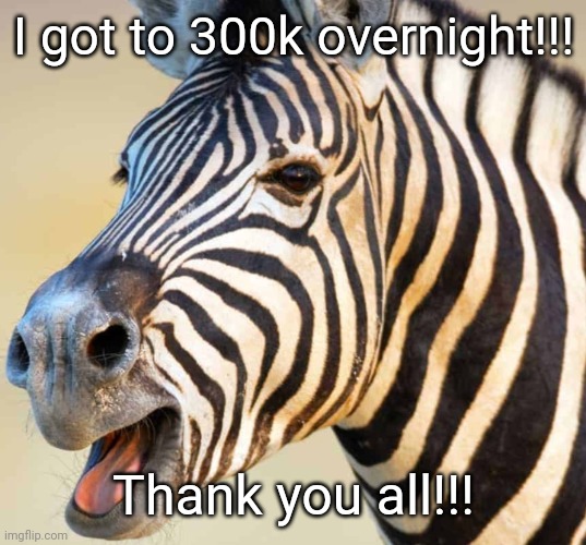 Happy Zebra | I got to 300k overnight!!! Thank you all!!! | image tagged in happy zebra | made w/ Imgflip meme maker
