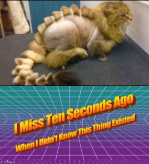 i am a stegosaurus | image tagged in i miss ten seconds ago,dinosaur,cats,please no | made w/ Imgflip meme maker