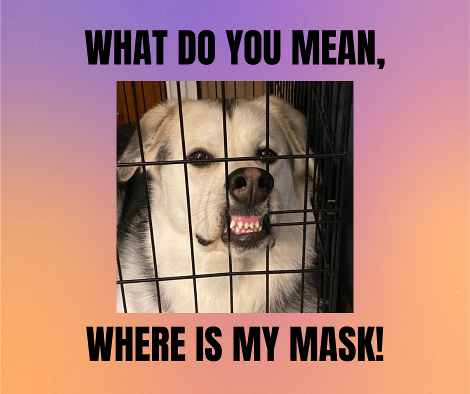 Anti-Mask Blank Meme Template