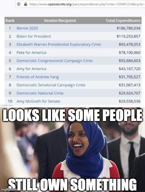 LOOKS LIKE SOME PEOPLE STILL OWN SOMETHING | image tagged in rep ilhan omar | made w/ Imgflip meme maker