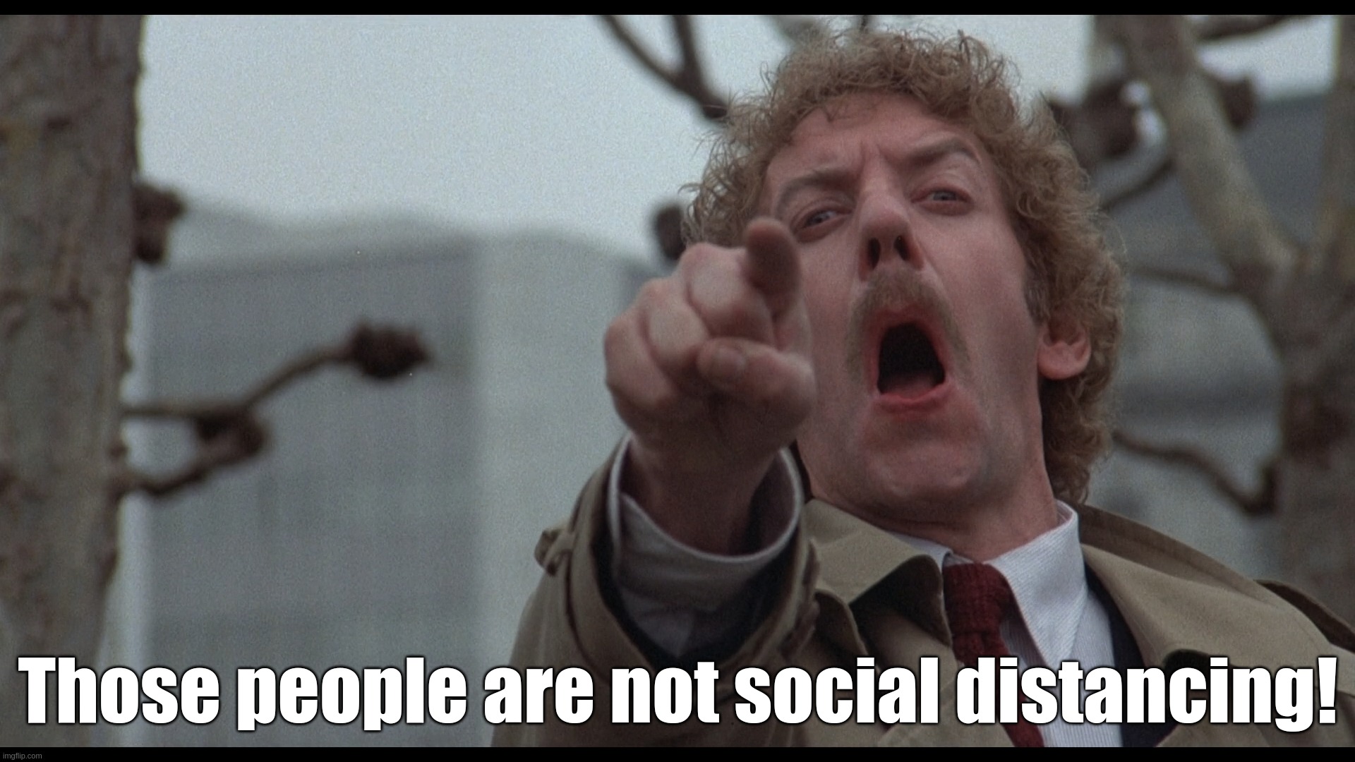Those People Are Not Social Distancing! | Those people are not social distancing! | image tagged in social,distance,covid-19,coronavirus,bodysnatchers,invasion | made w/ Imgflip meme maker
