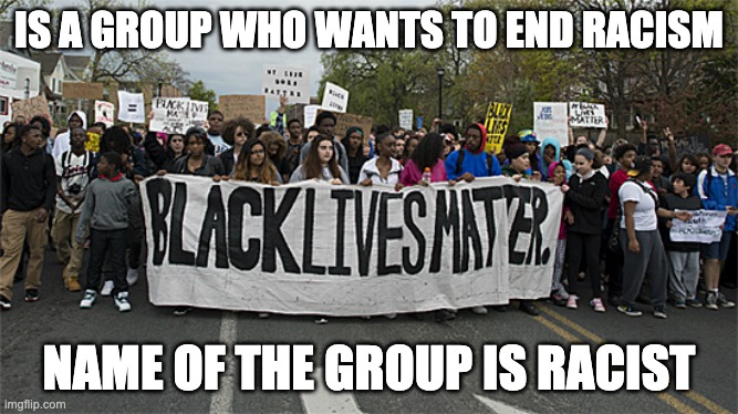 black lives matter | IS A GROUP WHO WANTS TO END RACISM; NAME OF THE GROUP IS RACIST | image tagged in black lives matter | made w/ Imgflip meme maker