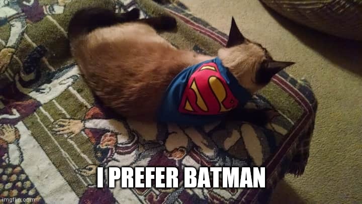 I Prefer Batman | I PREFER BATMAN | image tagged in max | made w/ Imgflip meme maker