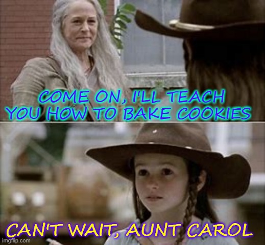 COME ON, I'LL TEACH YOU HOW TO BAKE COOKIES; CAN'T WAIT, AUNT CAROL | made w/ Imgflip meme maker