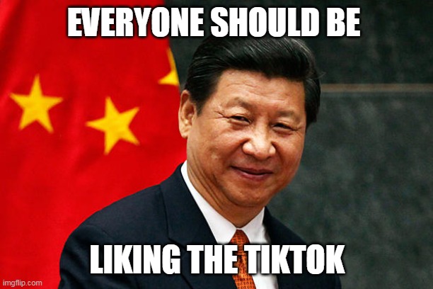 Xi Jinping | EVERYONE SHOULD BE LIKING THE TIKTOK | image tagged in xi jinping | made w/ Imgflip meme maker