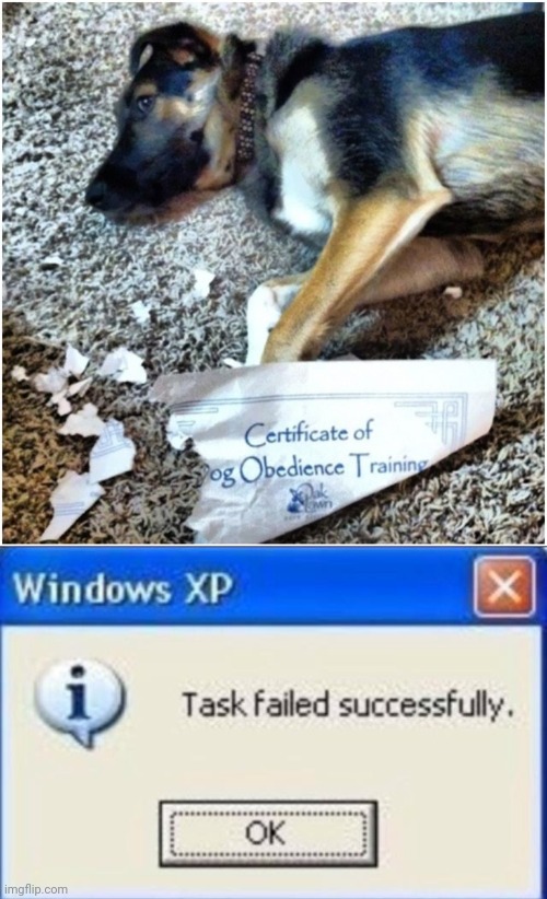 image tagged in task failed successfully | made w/ Imgflip meme maker