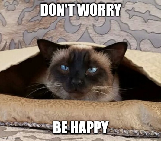 Be Happy | DON'T WORRY; BE HAPPY | image tagged in happy cat | made w/ Imgflip meme maker