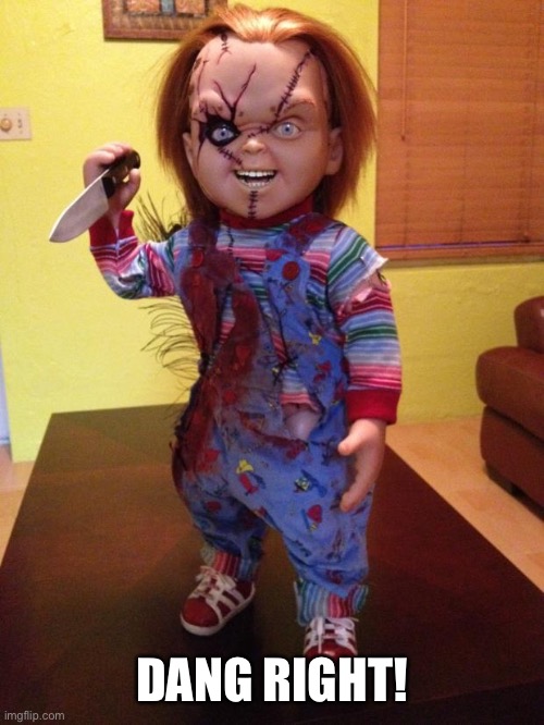 Chucky | DANG RIGHT! | image tagged in chucky | made w/ Imgflip meme maker