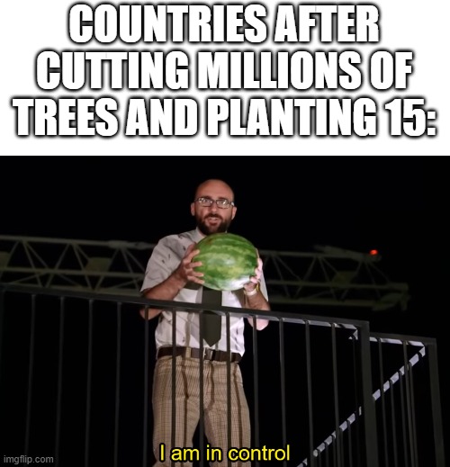 I am in control | COUNTRIES AFTER CUTTING MILLIONS OF TREES AND PLANTING 15: | image tagged in i am in control | made w/ Imgflip meme maker