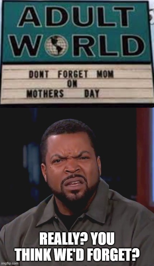 Mothers Day | REALLY? YOU THINK WE'D FORGET? | image tagged in really ice cube,mother's day,mothers,stupid signs,memes,funny | made w/ Imgflip meme maker