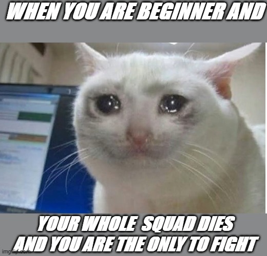 WHEN YOU ARE BEGINNER AND; YOUR WHOLE  SQUAD DIES AND YOU ARE THE ONLY TO FIGHT | image tagged in reality | made w/ Imgflip meme maker