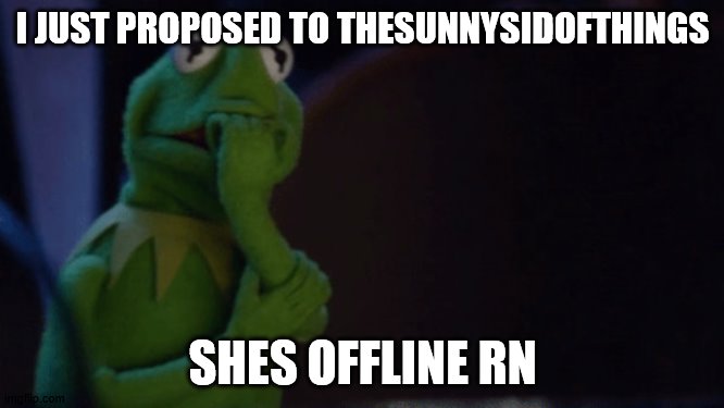 Nervous Kermit | I JUST PROPOSED TO THESUNNYSIDOFTHINGS; SHES OFFLINE RN | image tagged in nervous kermit | made w/ Imgflip meme maker