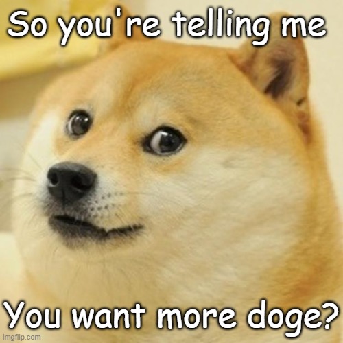 Doge Meme | So you're telling me You want more doge? | image tagged in memes,doge | made w/ Imgflip meme maker