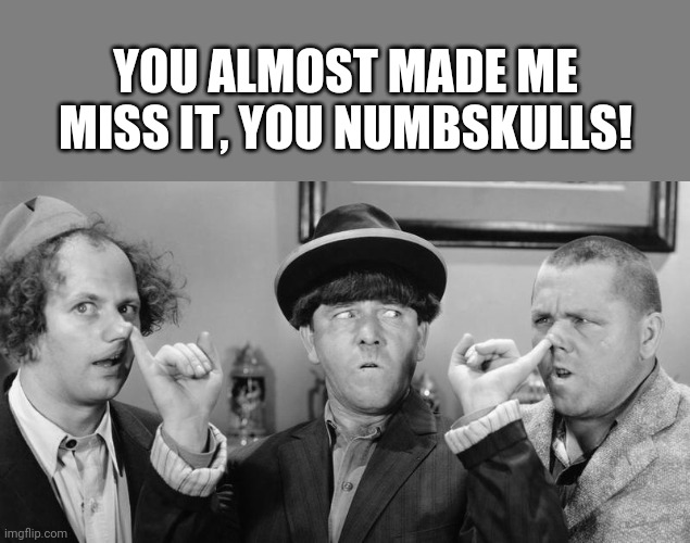 YOU ALMOST MADE ME MISS IT, YOU NUMBSKULLS! | made w/ Imgflip meme maker