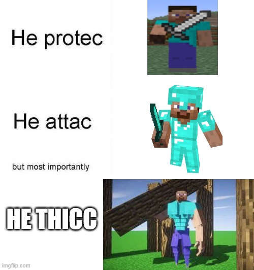 Steve be a thicc boi. | HE THICC | image tagged in he protec he attac but most importantly,steve,minecraft steve | made w/ Imgflip meme maker