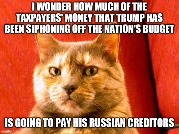 Suspicious Cat Meme | I WONDER HOW MUCH OF THE TAXPAYERS' MONEY THAT TRUMP HAS BEEN SIPHONING OFF THE NATION'S BUDGET; IS GOING TO PAY HIS RUSSIAN CREDITORS | image tagged in memes,suspicious cat | made w/ Imgflip meme maker