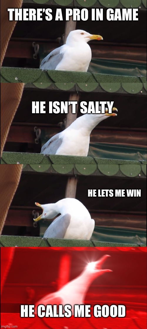 Inhaling Seagull | THERE’S A PRO IN GAME; HE ISN’T SALTY; HE LETS ME WIN; HE CALLS ME GOOD | image tagged in memes,inhaling seagull | made w/ Imgflip meme maker