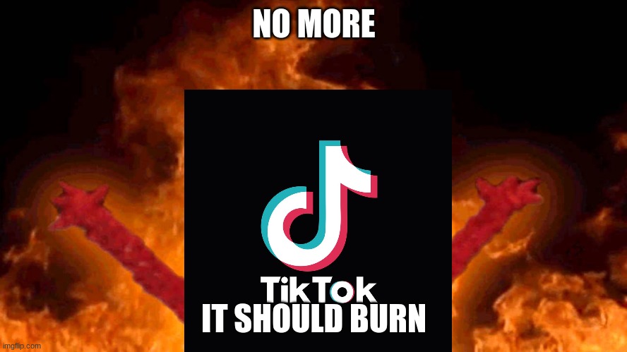 burn | NO MORE; IT SHOULD BURN | image tagged in elmo fire | made w/ Imgflip meme maker