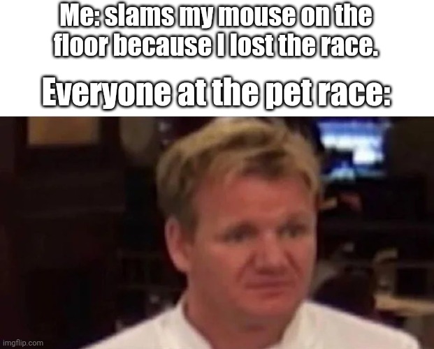 B r u h | Me: slams my mouse on the floor because I lost the race. Everyone at the pet race: | image tagged in disgusted gordon ramsay,memes,mouse,funny,fun | made w/ Imgflip meme maker