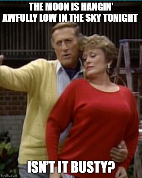 Golden Girls The Actor | THE MOON IS HANGIN’ AWFULLY LOW IN THE SKY TONIGHT; ISN’T IT BUSTY? | image tagged in golden girls,busty,blanche | made w/ Imgflip meme maker