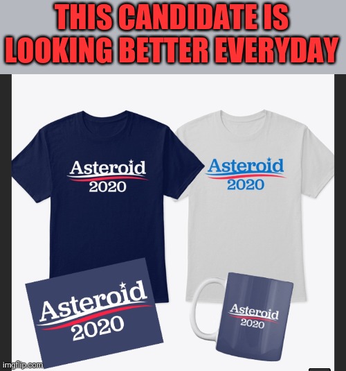 I'll buy your whole stock. | THIS CANDIDATE IS LOOKING BETTER EVERYDAY | image tagged in election 2020 | made w/ Imgflip meme maker