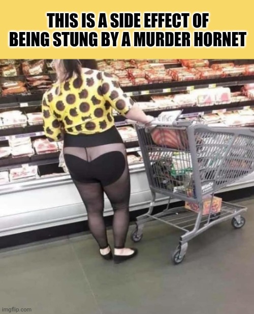 THIS IS A SIDE EFFECT OF BEING STUNG BY A MURDER HORNET | image tagged in murder hornets | made w/ Imgflip meme maker