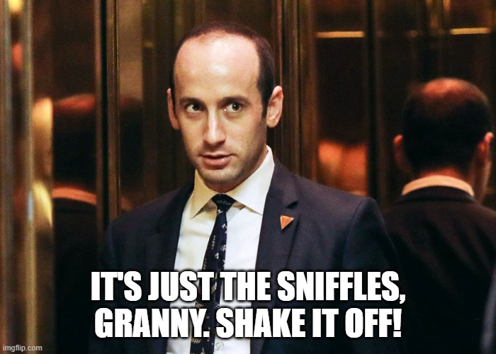 No. It's Covid-19. | IT'S JUST THE SNIFFLES, GRANNY. SHAKE IT OFF! | image tagged in stephen miller | made w/ Imgflip meme maker