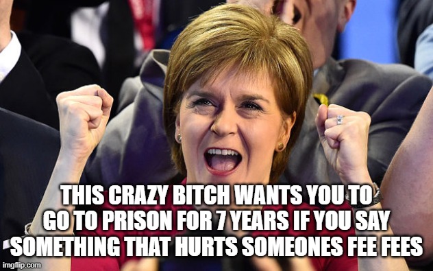 nicola sturgeon  | THIS CRAZY BITCH WANTS YOU TO GO TO PRISON FOR 7 YEARS IF YOU SAY SOMETHING THAT HURTS SOMEONES FEE FEES | image tagged in nicola sturgeon | made w/ Imgflip meme maker