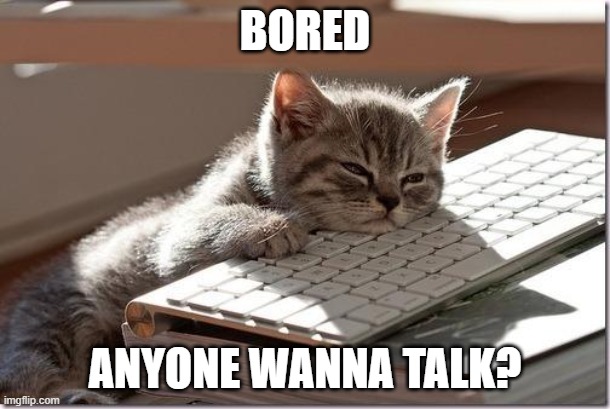 Bored Keyboard Cat | BORED; ANYONE WANNA TALK? | image tagged in bored keyboard cat | made w/ Imgflip meme maker