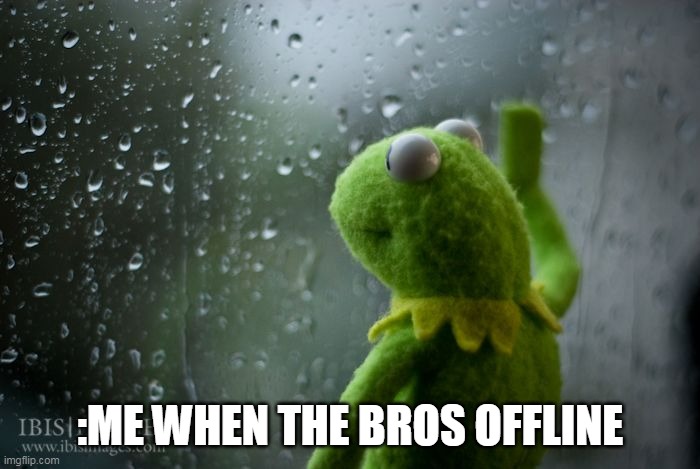 sad bro | :ME WHEN THE BROS OFFLINE | image tagged in kermit window | made w/ Imgflip meme maker