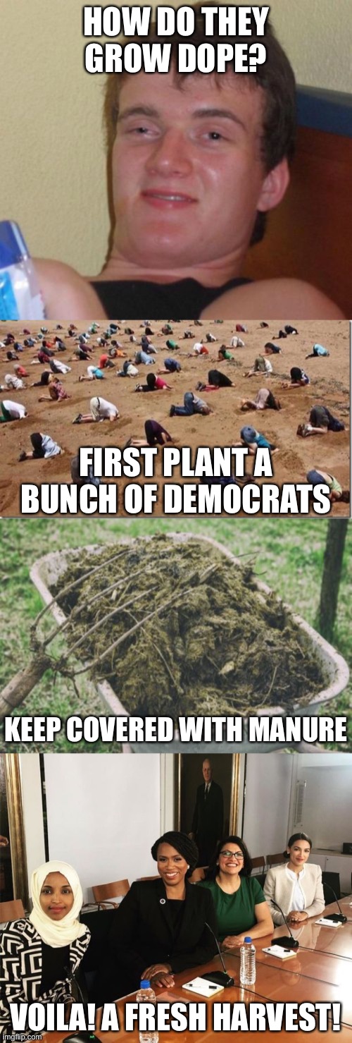 Straight from the pages of the “Anarchist Farmer’s Almanac” | HOW DO THEY GROW DOPE? FIRST PLANT A BUNCH OF DEMOCRATS; KEEP COVERED WITH MANURE; VOILA! A FRESH HARVEST! | image tagged in memes,10 guy,head in sand,manure,the squad | made w/ Imgflip meme maker