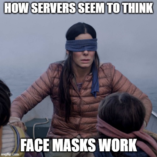 Bird Box | HOW SERVERS SEEM TO THINK; FACE MASKS WORK | image tagged in memes,bird box | made w/ Imgflip meme maker