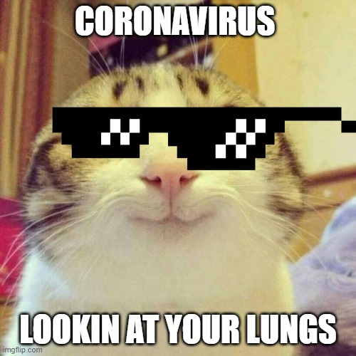 Smiling Cat Meme | CORONAVIRUS; LOOKIN AT YOUR LUNGS | image tagged in memes,smiling cat | made w/ Imgflip meme maker
