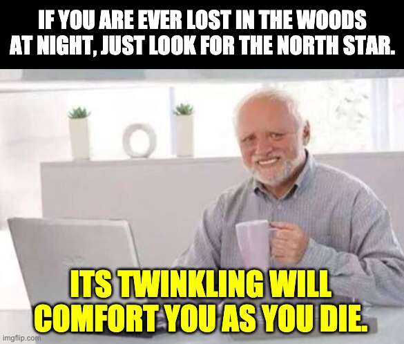 Harold | IF YOU ARE EVER LOST IN THE WOODS AT NIGHT, JUST LOOK FOR THE NORTH STAR. ITS TWINKLING WILL COMFORT YOU AS YOU DIE. | image tagged in harold | made w/ Imgflip meme maker