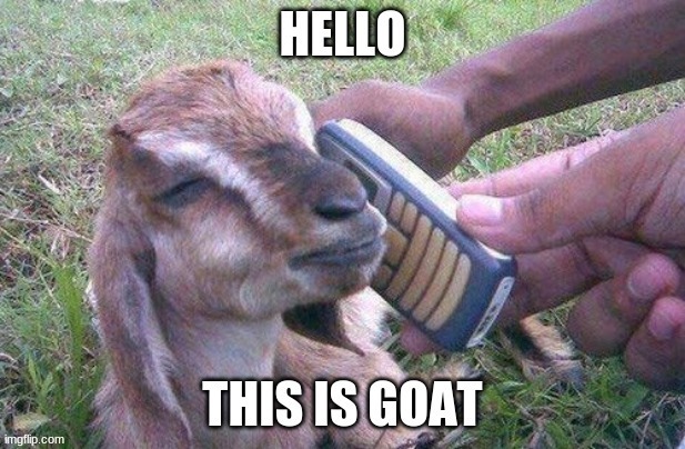 Hello This is Goat | image tagged in goats,funny goat,hello | made w/ Imgflip meme maker