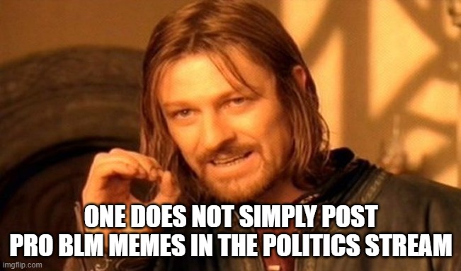 frick Nazis all my homies hate Nazis | ONE DOES NOT SIMPLY POST PRO BLM MEMES IN THE POLITICS STREAM | image tagged in memes,one does not simply | made w/ Imgflip meme maker