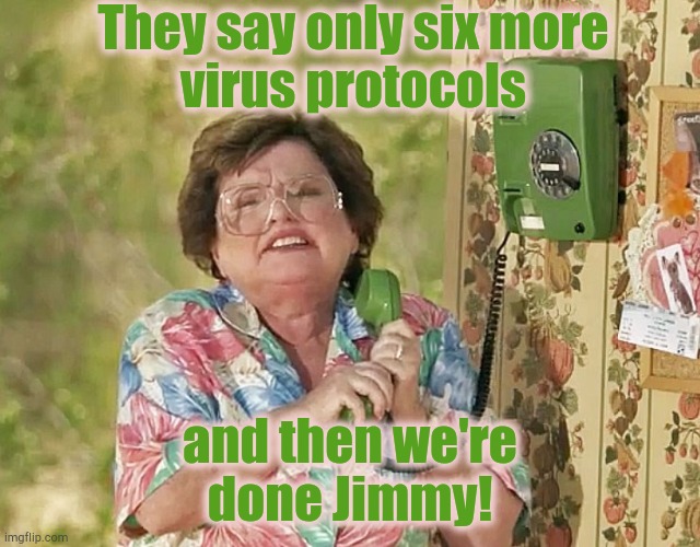 They say only six more
virus protocols; and then we're
done Jimmy! | image tagged in virus,protocol,six | made w/ Imgflip meme maker