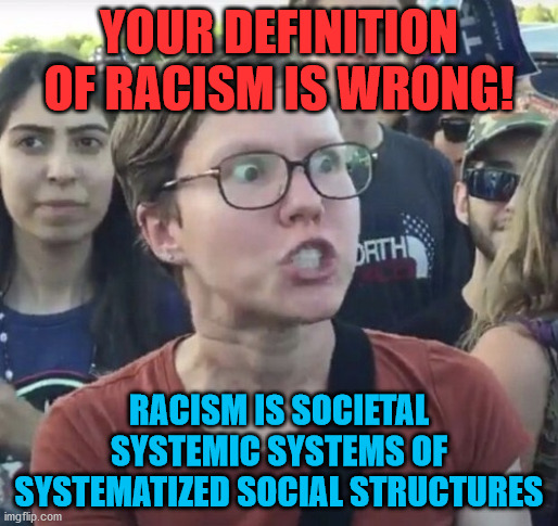 Triggered feminist | YOUR DEFINITION OF RACISM IS WRONG! RACISM IS SOCIETAL SYSTEMIC SYSTEMS OF SYSTEMATIZED SOCIAL STRUCTURES | image tagged in triggered feminist,leftist,liberal,racism,system,social | made w/ Imgflip meme maker