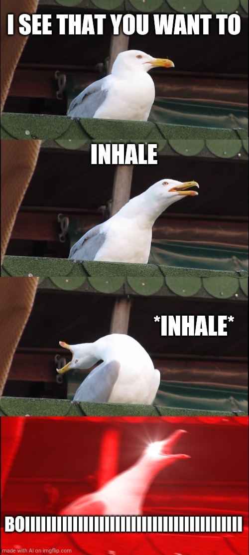 Boiiiiii | I SEE THAT YOU WANT TO; INHALE; *INHALE*; BOIIIIIIIIIIIIIIIIIIIIIIIIIIIIIIIIIIIIIIIII | image tagged in memes,inhaling seagull | made w/ Imgflip meme maker