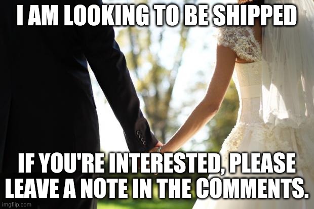 wedding | I AM LOOKING TO BE SHIPPED; IF YOU'RE INTERESTED, PLEASE LEAVE A NOTE IN THE COMMENTS. | image tagged in wedding | made w/ Imgflip meme maker