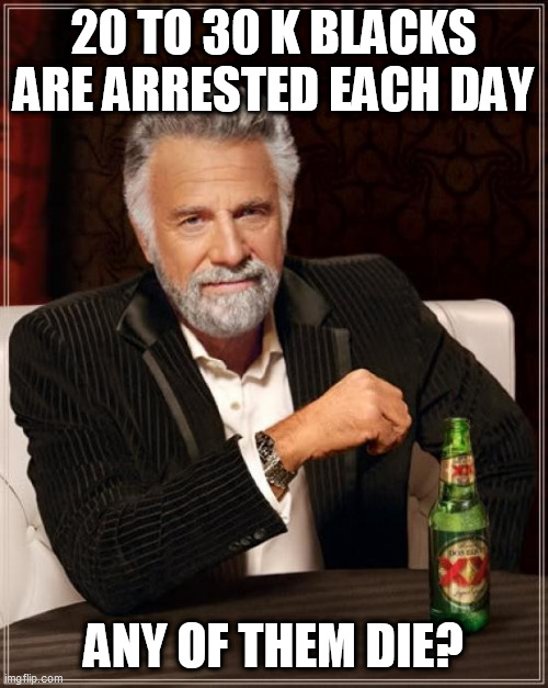 The Most Interesting Man In The World Meme | 20 TO 30 K BLACKS ARE ARRESTED EACH DAY; ANY OF THEM DIE? | image tagged in memes,the most interesting man in the world | made w/ Imgflip meme maker